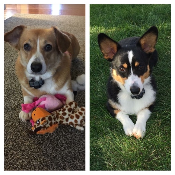 Meet the Posher - Picture 3 of 5